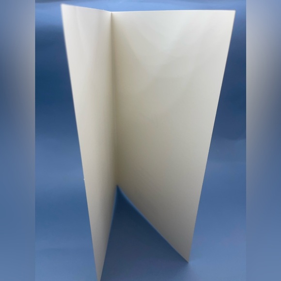 Holy Shiitake It's Your Birthday Greeting Card, NWOT - Picture 10 of 11